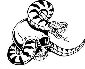 300x242 snake skull serpent car truck window laptop vinyl decal sticker ebay - Snake And Skull Drawing