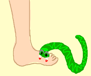 300x250 Snake Bites Foot Drawing - Snake Biting Drawing