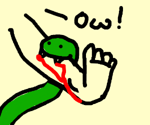 300x250 Snake Biting Guy's Leg Drawing - Snake Biting Drawing