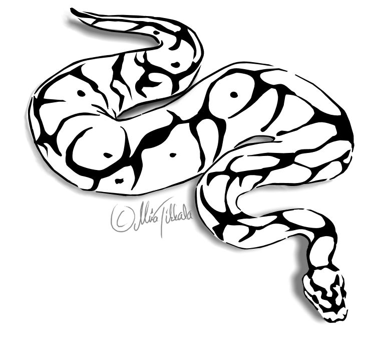 Snake Biting Drawing at Explore collection of