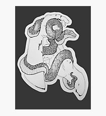 210x230 Black Rat Snake Drawing Photographic Prints Redbubble - Snake Biting Drawing