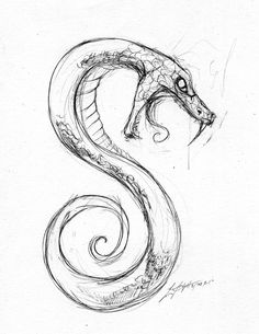 Snake Head Drawing Side