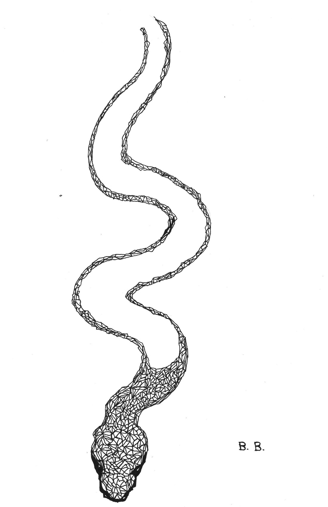 1100x1701 Snake Drawing Free Download - Snake Drawing