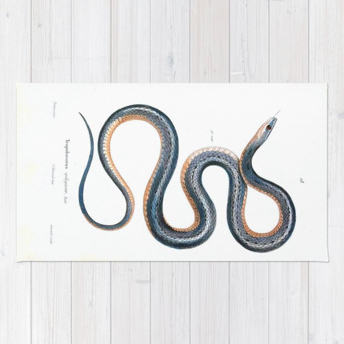 700x700 Vintage Snake Drawing Antique Art Nouveau Goth Snake Rug - Snake Drawing