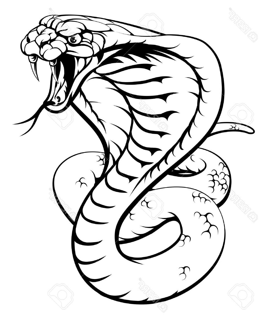 1090x1300 Best An Illustration Of King Cobra Snake In Black And White Images - Snake Drawing