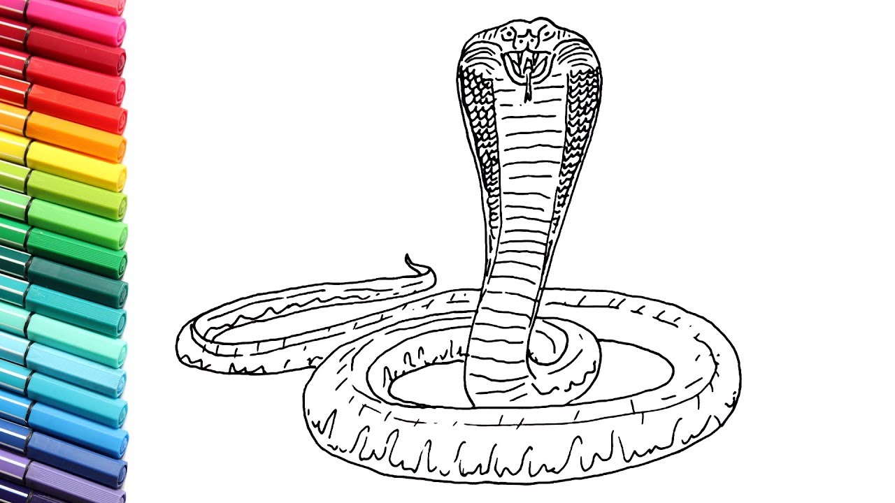 scary snake sketch