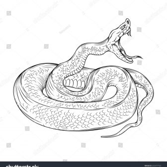 336x336 Snake Drawing App Cute Attack Easy Head Tutorial Wmstdc - Snake Drawing Images