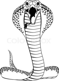 236x324 Snake Drawings For Kids King Cobra Coloring Pages Backyard - Snake Drawing Images