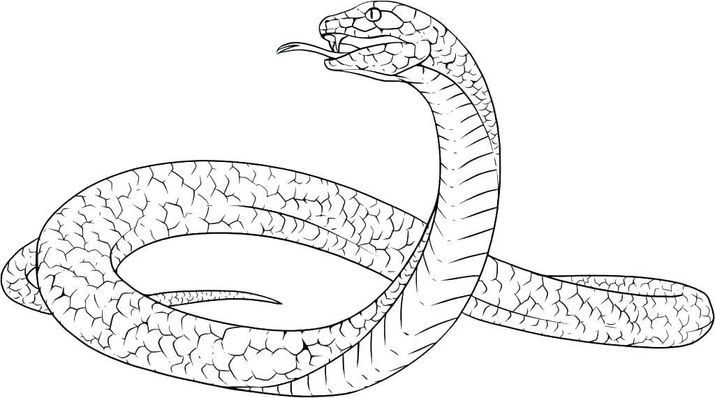 1024x570 coloring pages of snakes snake coloring pictures snake coloring - Snake Drawing Images