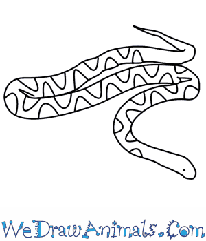 300x350 How To Draw A Snake - Snake Drawing Step By Step
