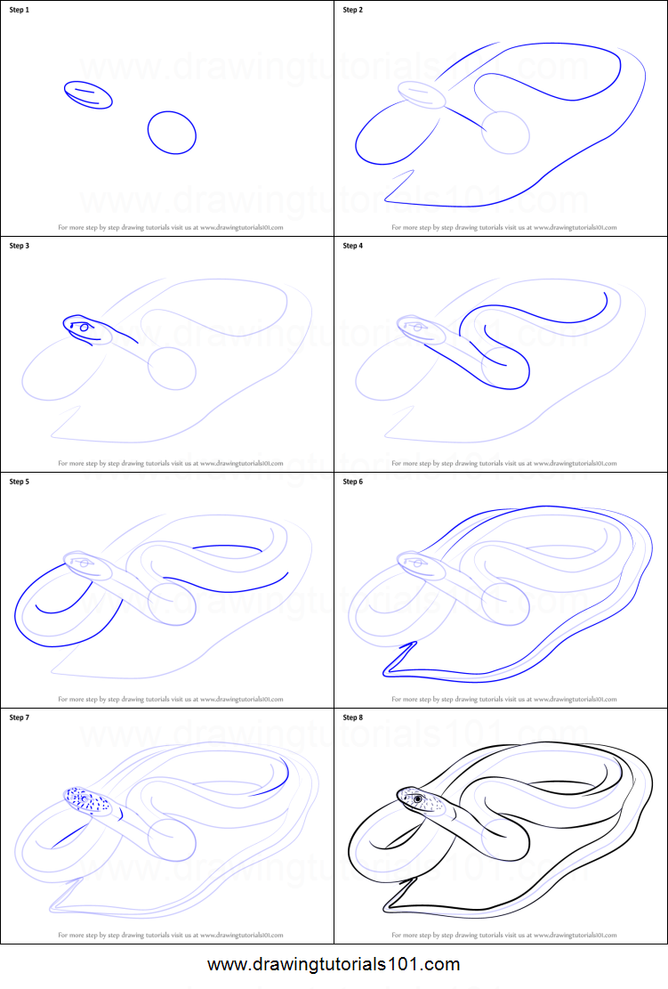 751x1111 How To Draw A Blue Racer Snake Printable Step - Snake Drawing Step By Step