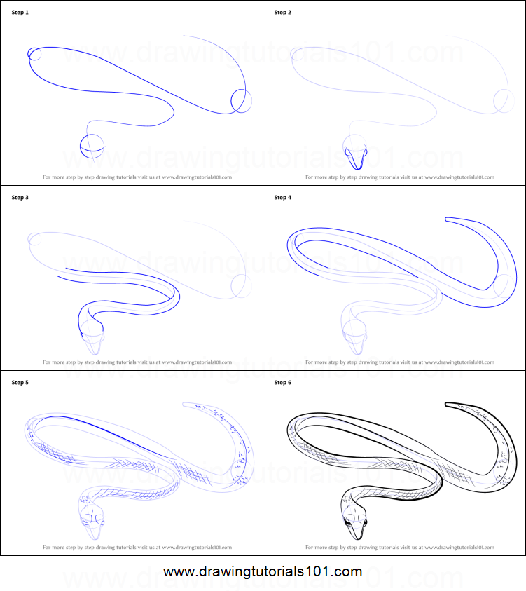 751x843 How To Draw A Green Vine Snake Printable Step - Snake Drawing Step By Step