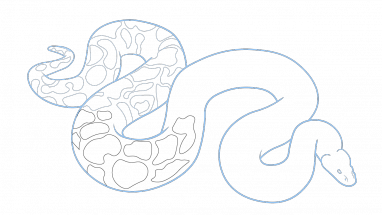 382x215 How To Draw A Python, Snake, Animals, Easy Step - Snake Drawing Step By Step