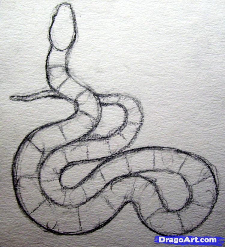 750x824 how to draw a realistic snake, draw real snake, step - Snake Drawing Step By Step