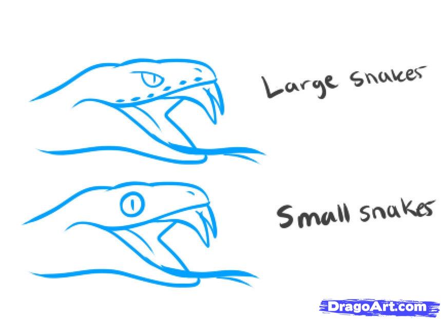 859x622 how to draw a snake head, draw snake heads, step - Snake Drawing Step By Step