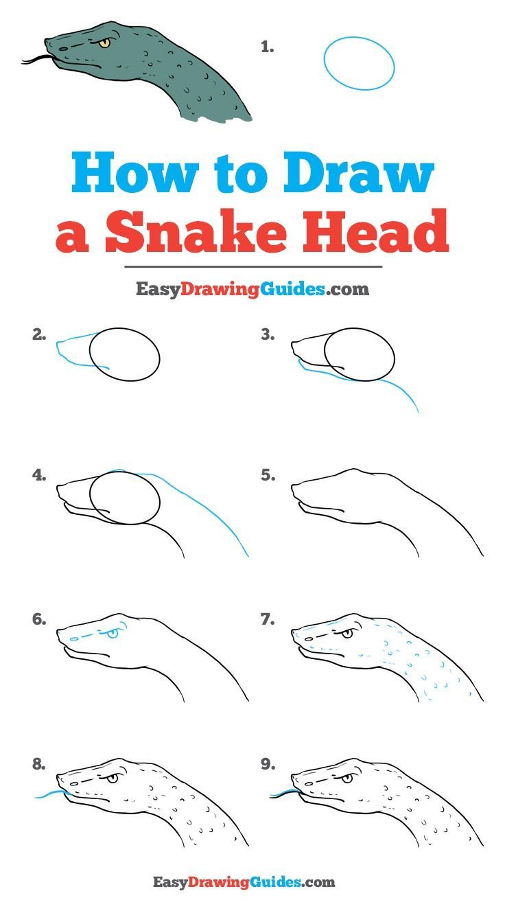 736x1327 How To Draw A Snake Head - Snake Drawing Step By Step
