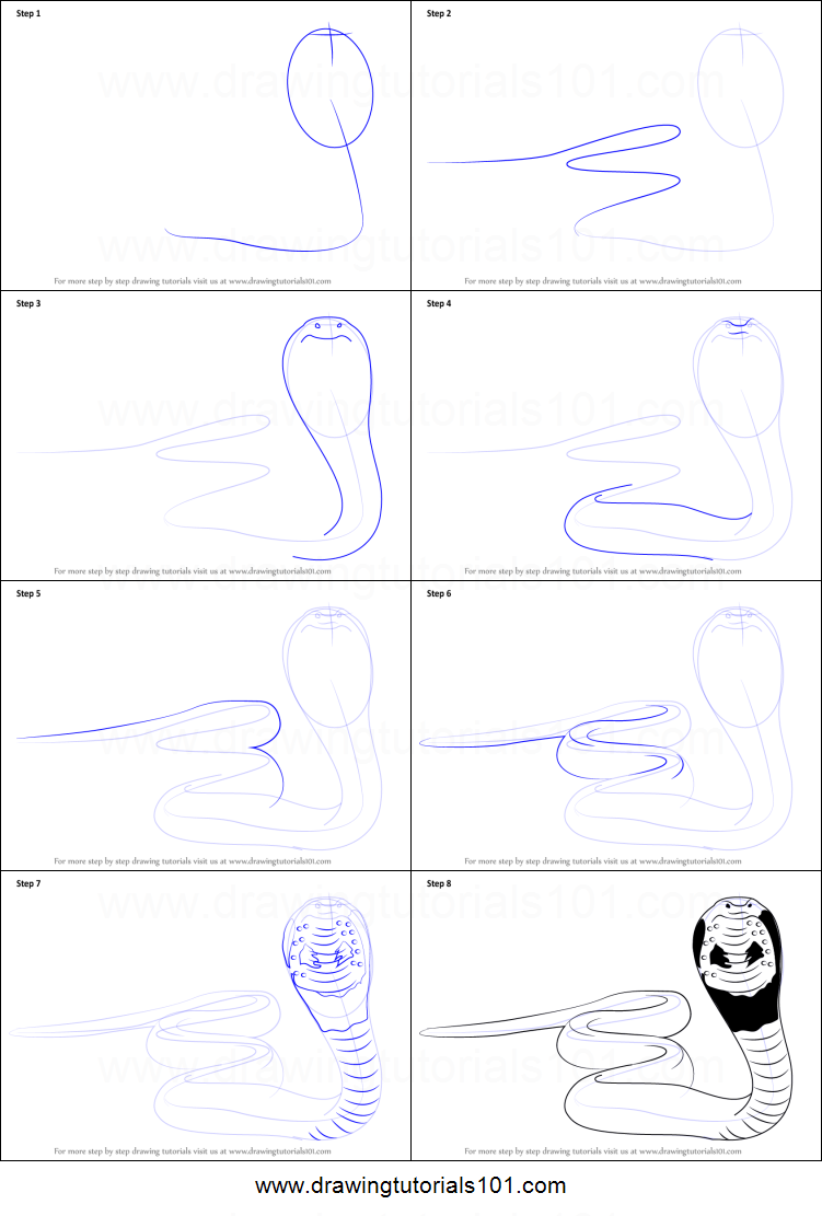 751x1111 How To Draw A Snake Printable Step - Snake Drawing Step By Step