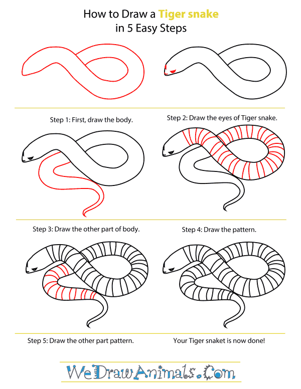 600x776 How To Draw A Tiger Snake - Snake Drawing Step By Step