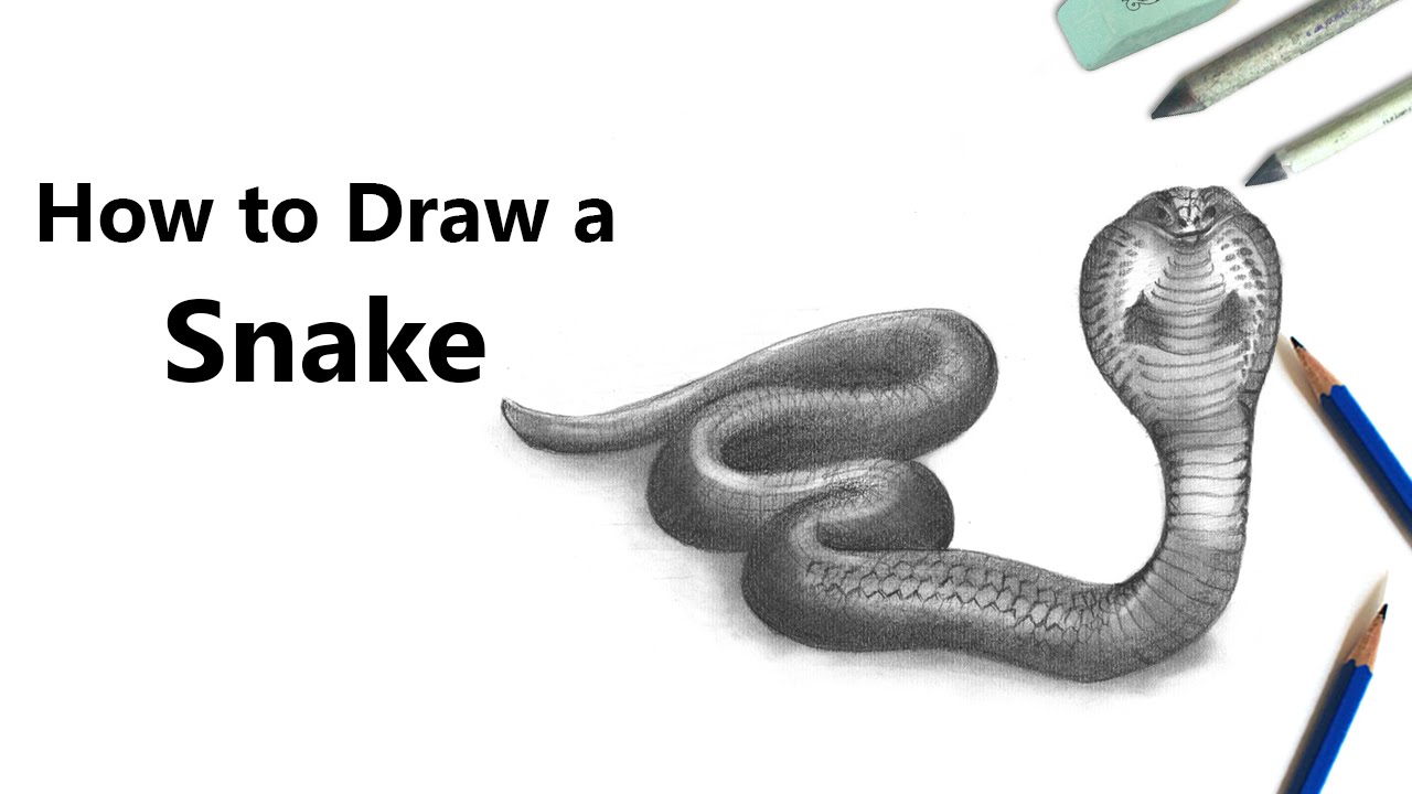 1280x720 How To Draw A Snake With Pencil - Snake Drawings In Pencil