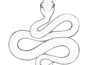 300x210 pencil snake drawing realistic snake drawing in pastel pencil - Snake Drawings In Pencil