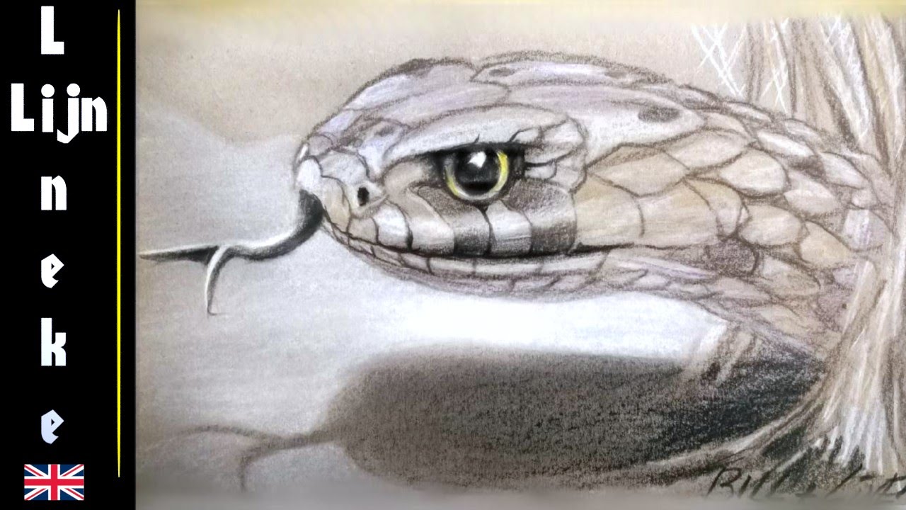 1280x720 Realistic Snake Drawing In Pastel Pencil - Snake Drawings In Pencil