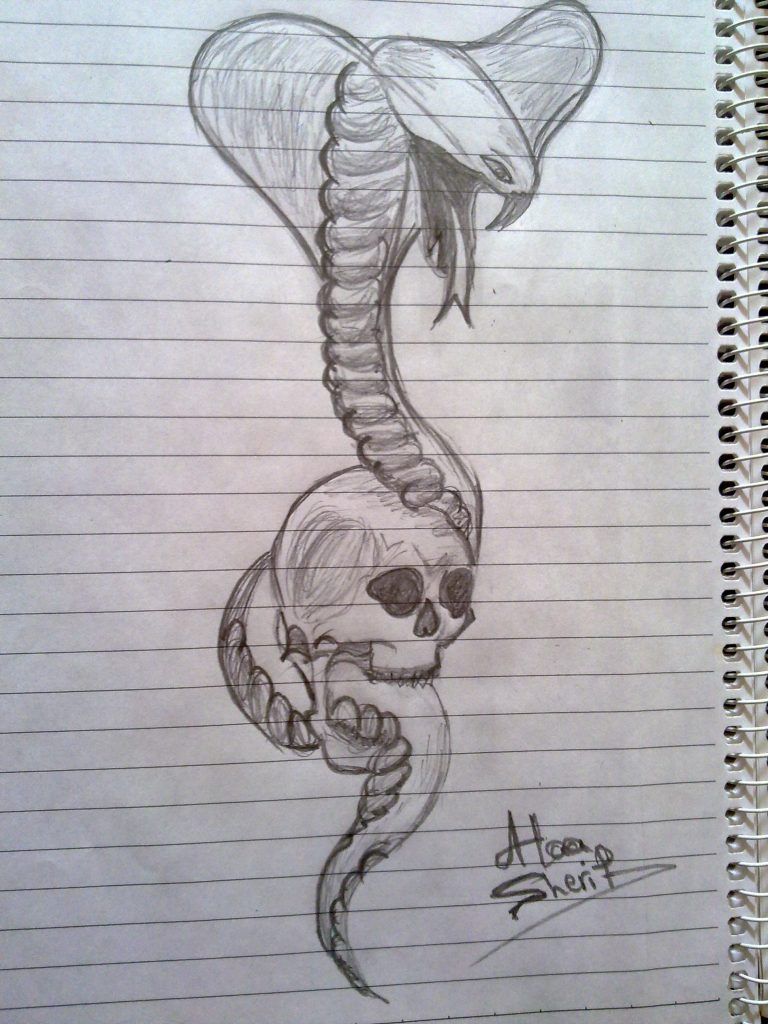 768x1024 Snake Drawing Pencil Sketch - Snake Drawings In Pencil