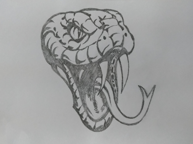 Snake Drawings In Pencil at Explore collection of