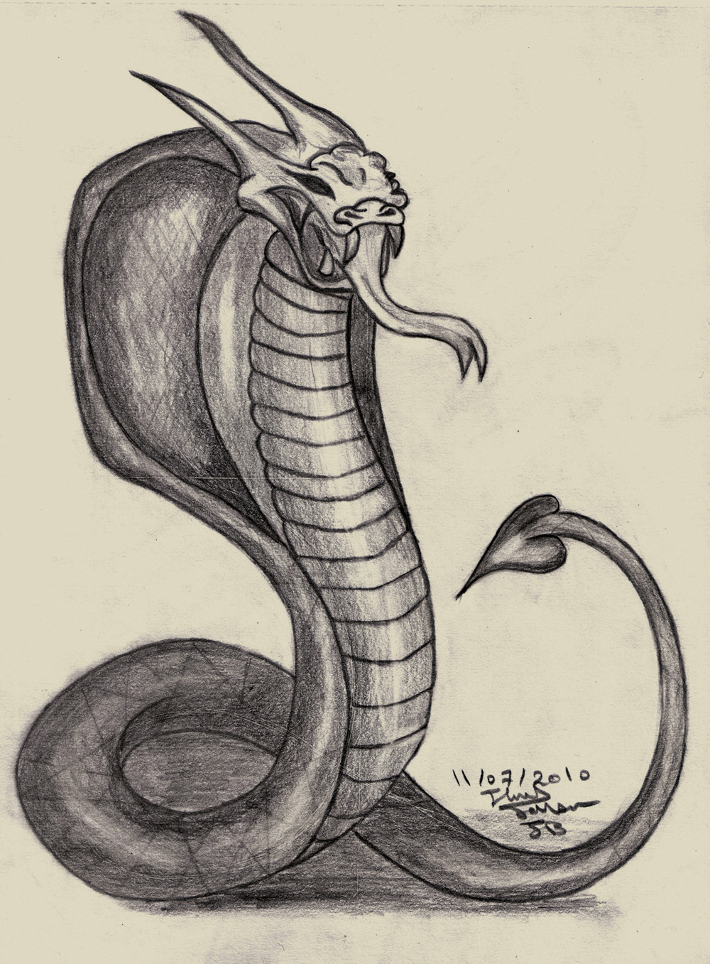 1000x1357 snake pencil sketch images and snake drawing pencil sketch snake - Snake Drawings In Pencil