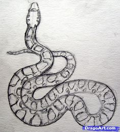 235x258 best snake drawing images snake drawing, drawings, snake art - Snake Drawings In Pencil