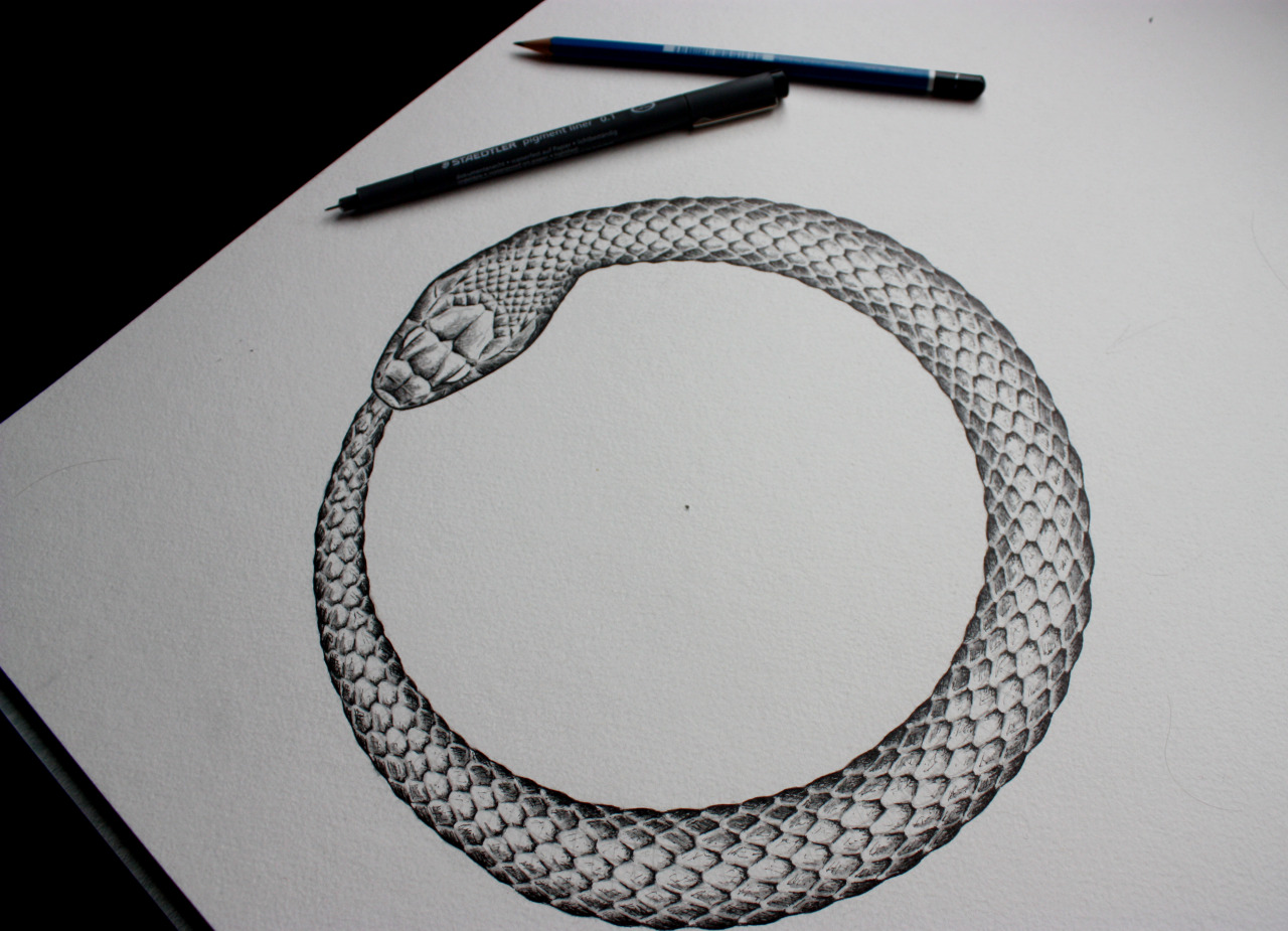 Snake Drawing For Kid at PaintingValley.com | Explore collection of