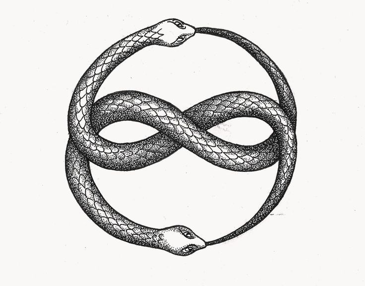 736x576 The Ouroboros Or Uroboros - Snake Eating Itself Drawing