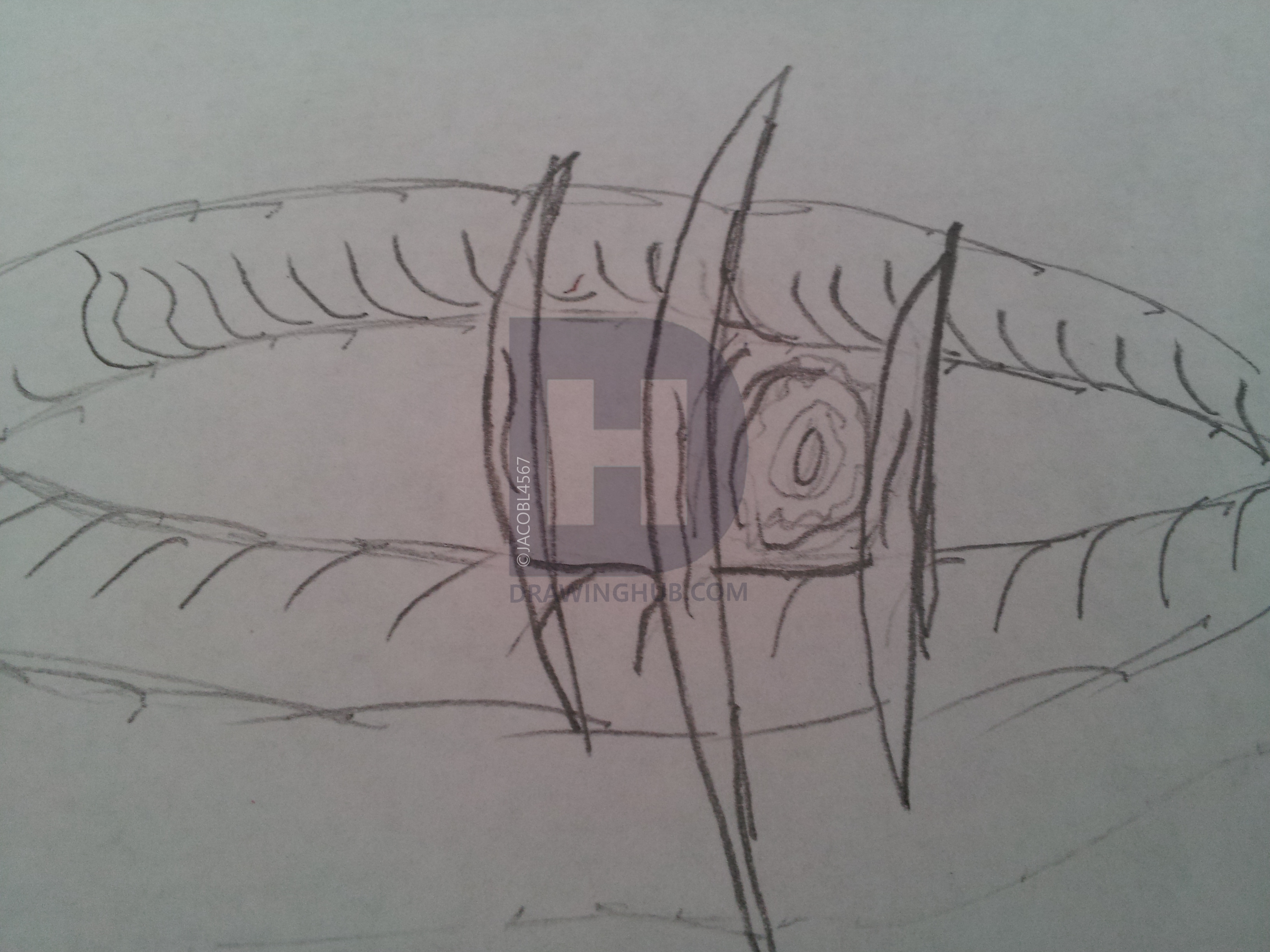 3264x2448 Scared Snake Eye Drawing - Snake Eye Drawing