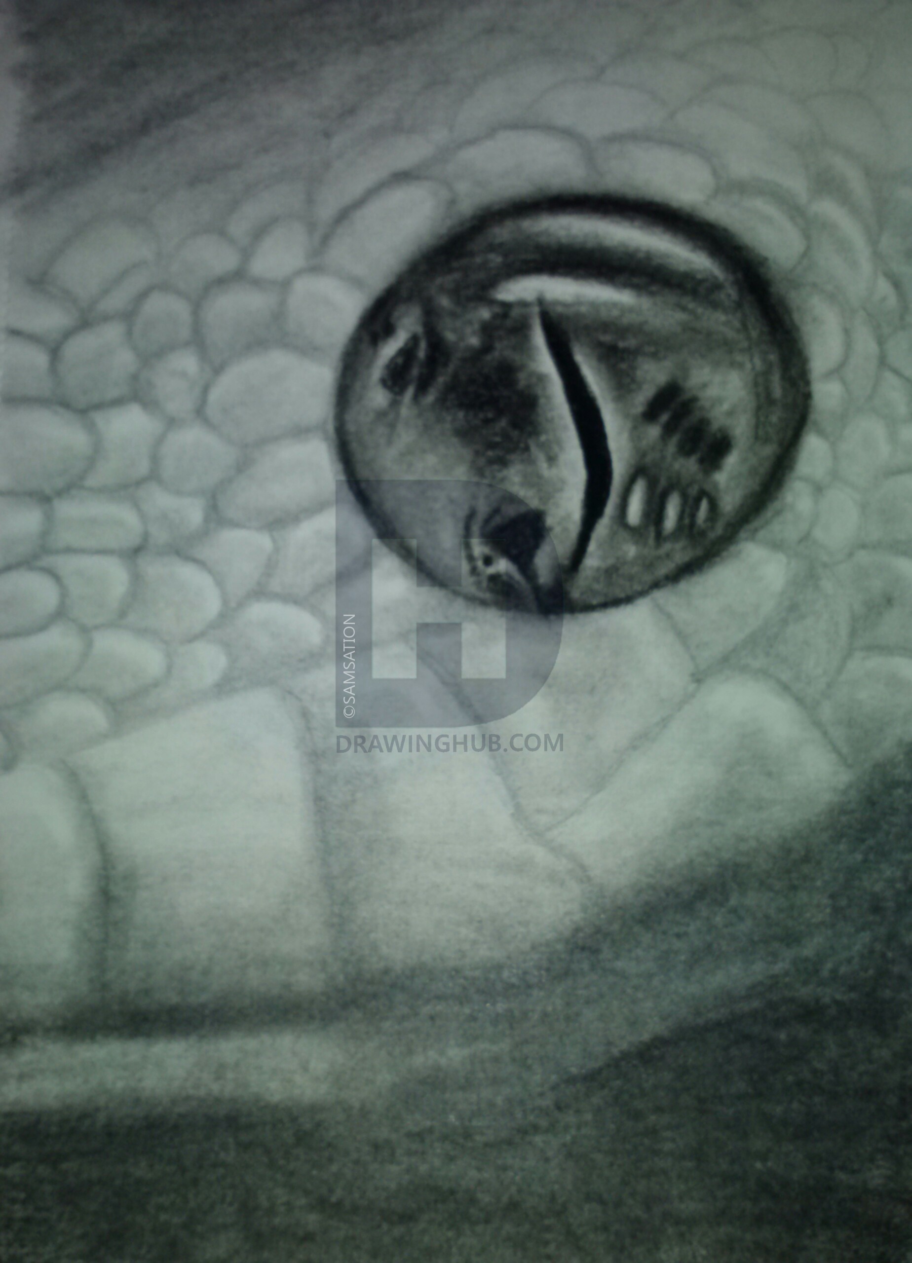 1848x2560 Snake Eye Drawing - Snake Eye Drawing