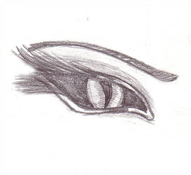 273x250 Snake Eye Sketch - Snake Eye Drawing