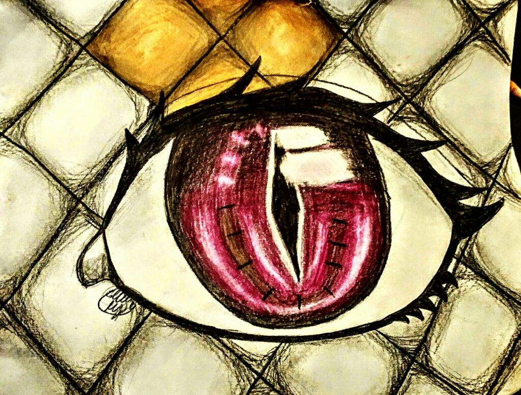 1024x775 Snake Eye Amino - Snake Eye Drawing