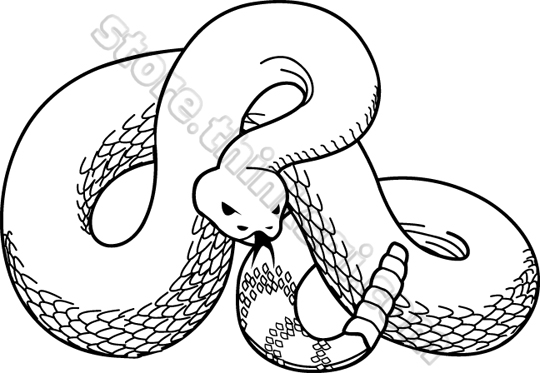 540x373 Drawn Face Snake - Snake Face Drawing