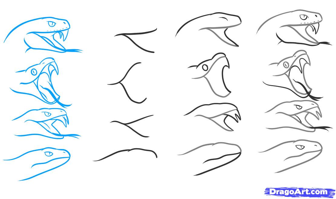 1112x659 how to draw a snake head, draw snake heads, step - Snake Face Drawing