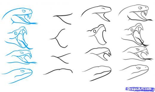 520x308 Step How To Draw A Snake Head, Draw Snake Heads Tutorial - Snake Head Drawing