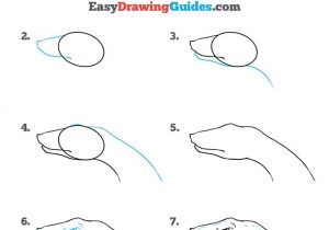 300x210 Drawing Snake Head Snake Head Drawing - Snake Head Drawing
