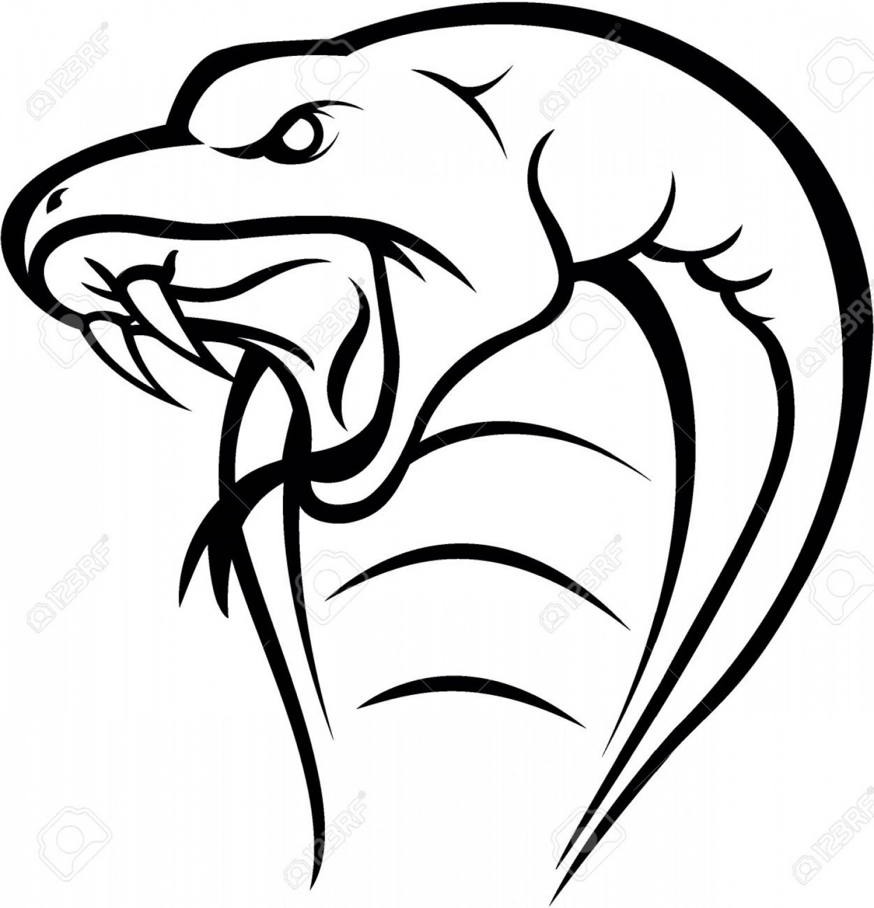 1801x1872 Vector Snake To Draw Studiogrfx - Snake Head Drawing