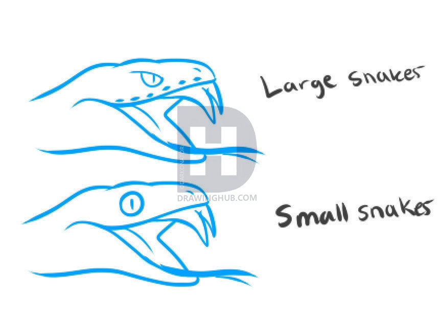 859x622 How To Draw A Snake Head, Draw Snake Heads, Step - Snake Head Drawing
