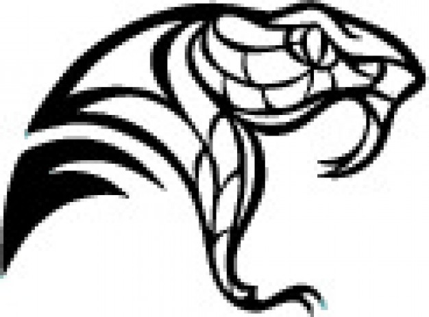 626x463 Download Vector - Snake Head Drawing Side View