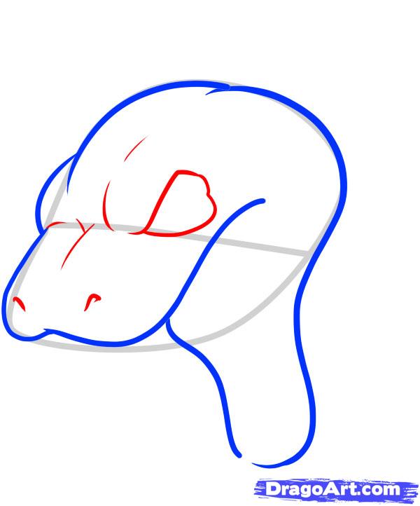 600x722 how to draw a snake head, draw snake heads, step - Snake Head Drawing Side View