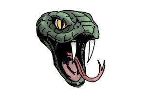 300x200 How To Draw A Snake Head - Snake Head Drawing Side View