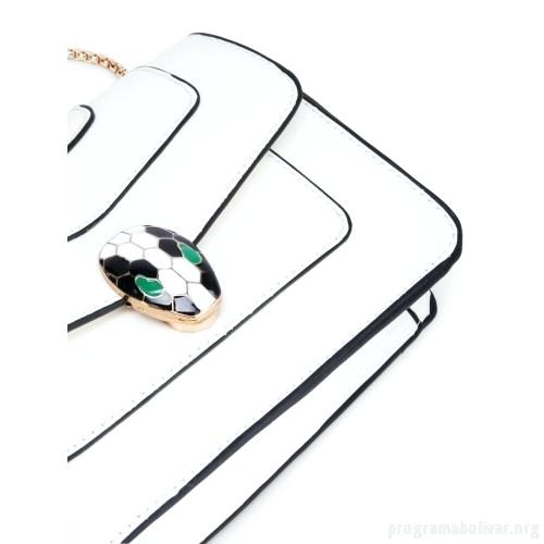 500x500 Snake Head Front Green Tree Python Years Old In Front Of A White - Snake Head Drawing Side View