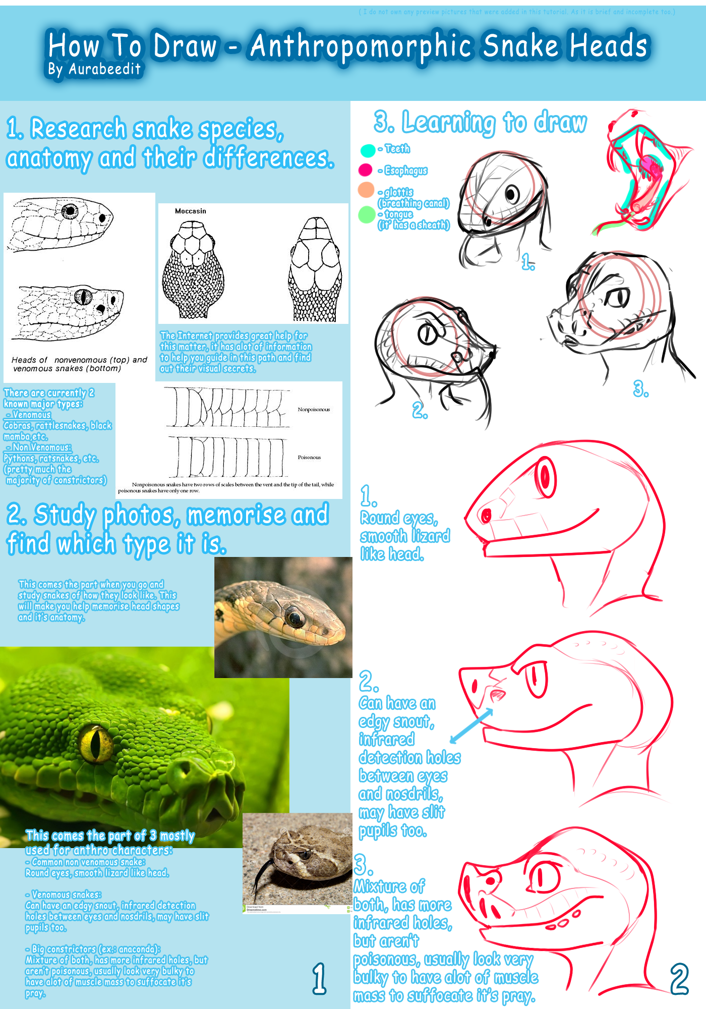 1400x2000 How To Draw - Snake Head Drawing Top View