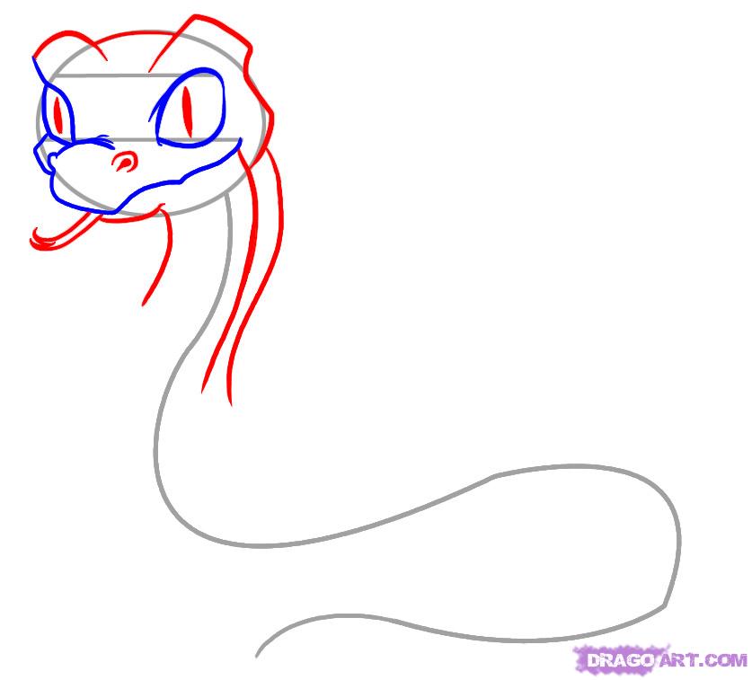 837x757 Step How To Draw A Cartoon Snake - Snake Head Drawing Top View