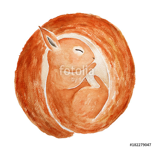 500x483 Cute Little One Sleeping Baby Squirrel Forest Character Round - Snake Head Drawing Top View
