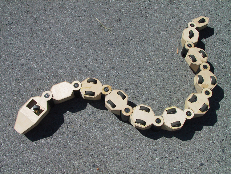 750x563 Feature - Snake Head Drawing Top View