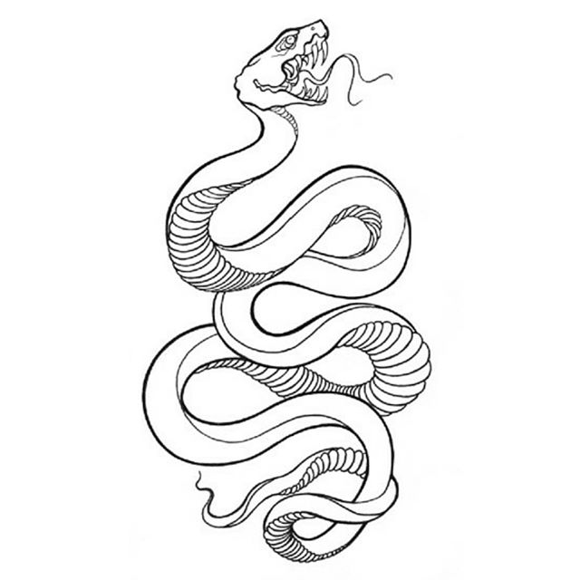 Snake Line Drawing at PaintingValley.com | Explore collection of Snake ...